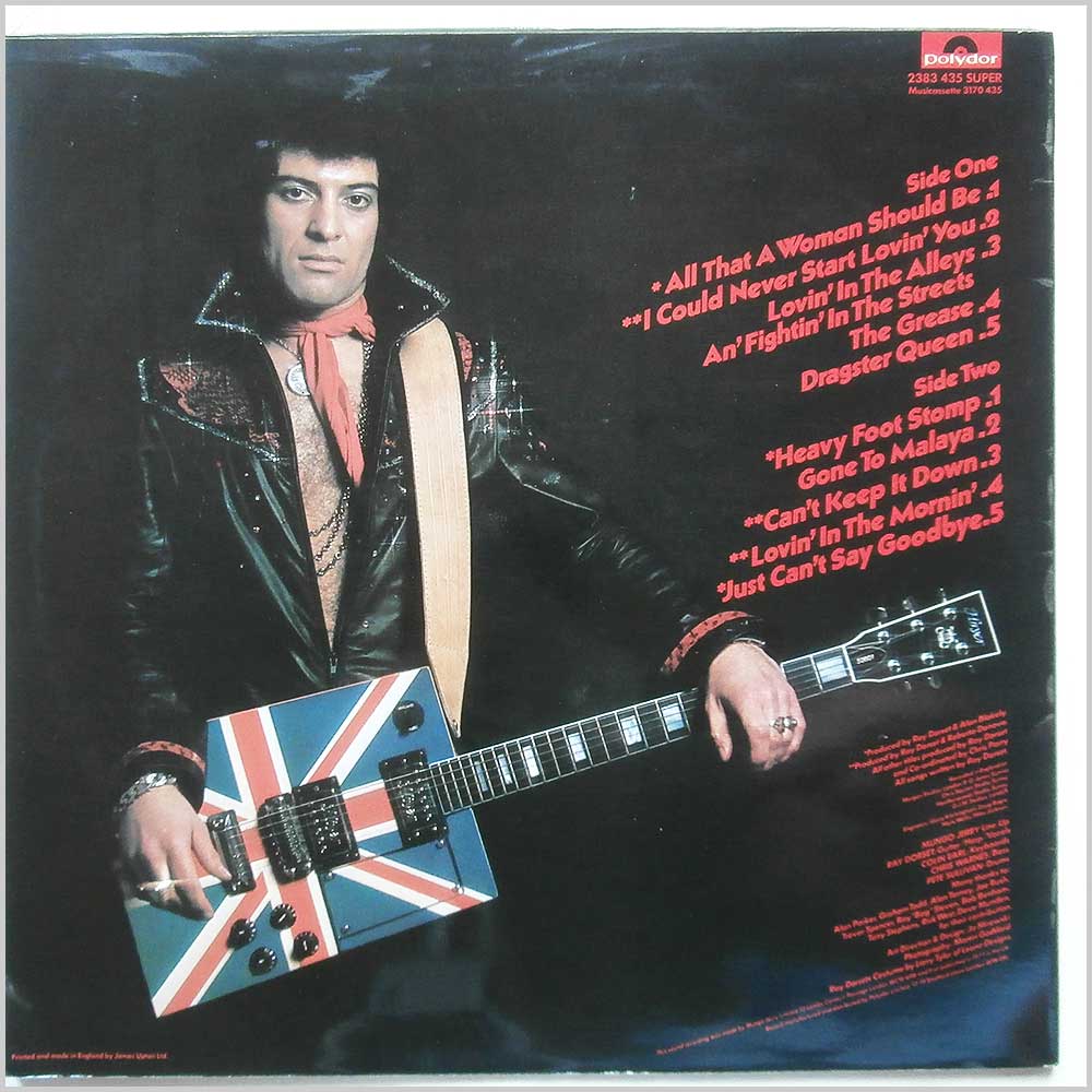 Ray Dorset and Mungo Jerry - Lovin' In The Alleys, Fightin' In The Streets  (2383 435) 