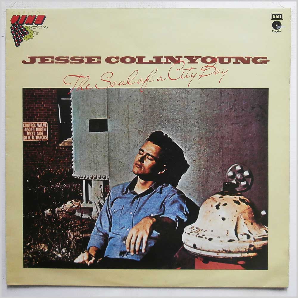 Jesse Colin Young - The Soul Of A City Boy  (VMP 1009) 