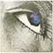 Horslips - The Book Of invasion A Celtic Symphony