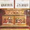 David Nott, Orchestra and Choir Of The Illinois Wesleyan University School Of Music - J.S. Bach: The Art Of The Cantata: Cantatas Number 131 and 182