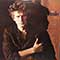 Don Henley - Building The Perfect Beast