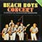 The Beach Boys - Beach Boys Concert