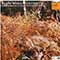 Rudolfe Kempe, Berlin Philharmonic Orchestra - Brahms: Symphony No. 1 in C Minor