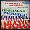 Hector Rivera and His Orchestra - Charanga and Pachanga