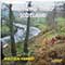Malcolm Kennedy - Waltzing Thro' Scotland