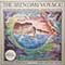 Liam O'Flynn and Orchestra - The Brendan Voyage