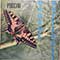 Napoleone Annovazzi, Norddeustcher Rundfunk - Puccini: Madame Butterfly